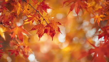 Obraz premium 紅葉の色域を赤橙黄に絞りロゴカラー衝突を避けた配色で多業種に横展開しやすい汎用ボタニカル背景.生成AI