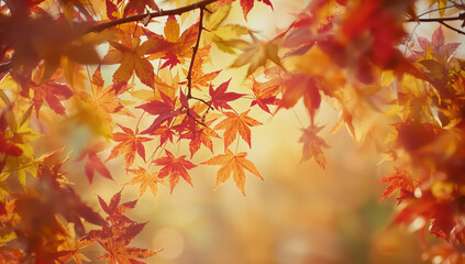 優しいベージュとレンガ色の二色分割に近い構成で価格表や日付が読みやすい販促特化の秋色テンプレート背景.生成AI