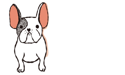 illustration of french bull dog