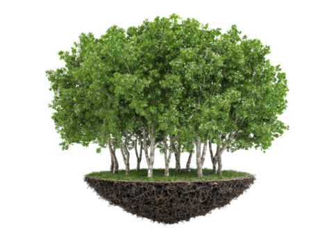 Lush green forest floating island isolated on black background, Isolated On White, Png Transparent