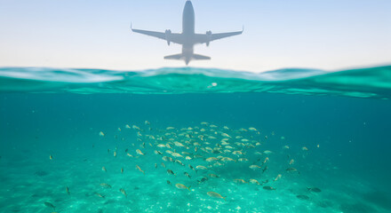 Naklejka premium Airplane Shadow Over Clear Tropical Water with Schools of Fish Swimming Beneath the Surface