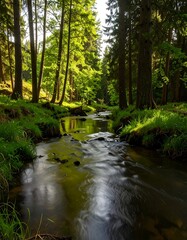 Obraz premium Sunlight streams through a lush forest, illuminating a tranquil creek