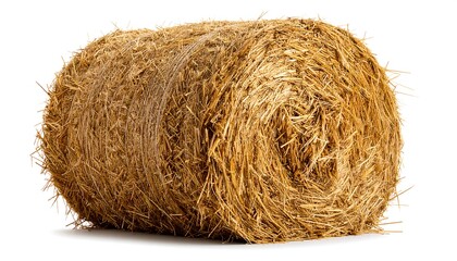 Rolled Hay Bale