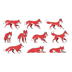 Dynamic Red Wolf Poses Action Collection Art Isolated On Transparent Background Pack