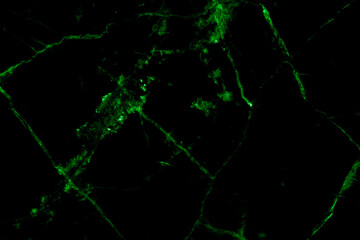 Green white marble wall surface gray pattern graphic abstract light elegant for do floor plan ceramic counter texture tile silver background.