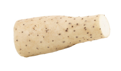 Fresh nagaimo japan isolated on transparent png