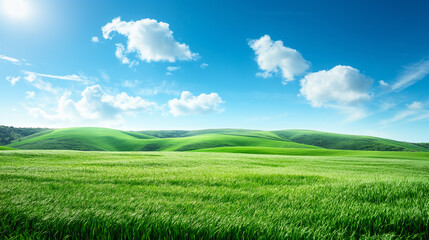 Obraz premium Vastidão de um campo verde com colinas sob um céu azul.