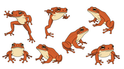 Fototapeta premium Cute orange frogs set showing different poses and actions isolated on transparent background for playful amphibian wildlife illustrations