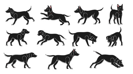 Fototapeta premium Black Labrador Dog Various Poses and Actions Isolated on Transparent Background Full Body Views