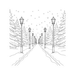 Winter Park Alley with Snowy Trees and Lampposts Line Art, Coloring Book Page Illustration.
