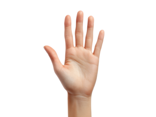 Open palm raised showing five fingers hand, Isolated On Png Transparent Background