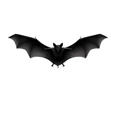 Ominous black bat with spread wings, isolated on white background, front view, with subtle shadow.

