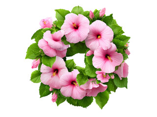 Pink hibiscus flower wreath isolated on black background, Isolated On White, Png Transparent