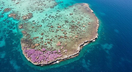 Aerial View of Vibrant Coral Reef Island with Unique Purple Coral Blooms.