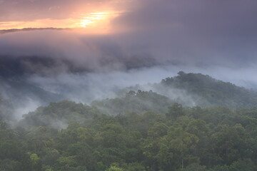 Beautiful morning landscape with mountains and sea of mist at Doi Hua Mod, Umphang Wildlife Sanctuary, Umphang district, Tak Province, Thailand