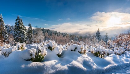 Enchanting Winter Wonderland With Snow Covered Flowers And Serene Landscape Featuring Seasonal Elements And Tranquil Atmosphere For Holiday Inspirations