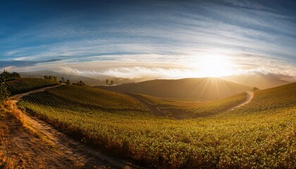 The Surrounding Light Enhances Its Allure