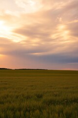 Obraz premium Vast agricultural field under a dramatic cloudy sky at sunset with warm light
