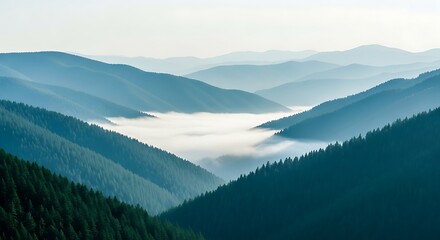 Mountains' Serene Embrace A Misty Landscape of Peaks and Valleys
