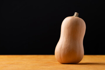 Fresh butternut squash pumpkin on orange and black background, Vegetable in Autumn season, Food...