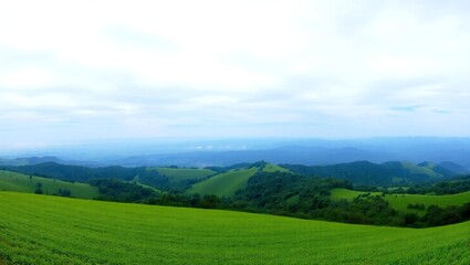 Obraz premium Expansive green rolling hills and lush forest under a hazy blue sky horizon