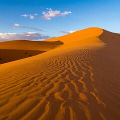 Desert dune landscape at sunset