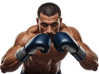 Intense boxer with a determined gaze posing with blue boxing gloves on isolated transparent scene