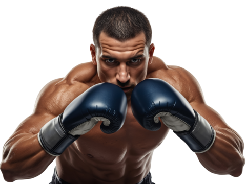 Intense boxer with a determined gaze posing with blue boxing gloves on isolated transparent scene