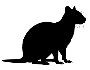 Silhouette of a rodent