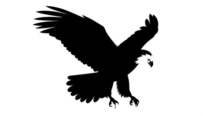 Silhouette of a soaring eagle