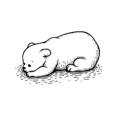 Gentle slumber of a bear cub rests quietly in monochrome artistic drawing concept illustrating