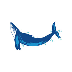 Make a Professional Whale Logo Vector