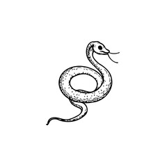 Serpentine Ink Drawing Depicting the Enigmatic Nature of Reptiles and Symbolic Representations of