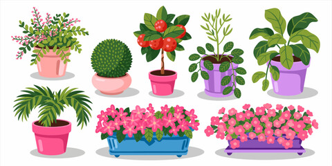 A vibrant display of various potted plants and flowers, showcasing a delightful assortment of greenery and blooms in colorful pots that enhance any space aesthetic.
