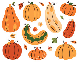 A set of cute pumpkins of different colors and sizes on a white background. Flat vector illustration.