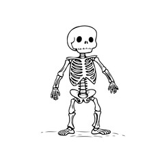 Whimsical skeletal figure with minimalistic design and playful anatomical portrayal for a