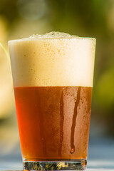 Craft Beer, cerveja artesanal estilo Red Ipa