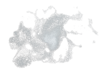 abstract soap foam isolated element