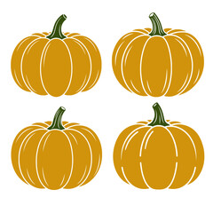 Orange Pumpkin Vector Set