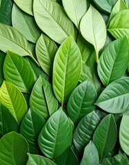 Close-up of many vibrant green leaves