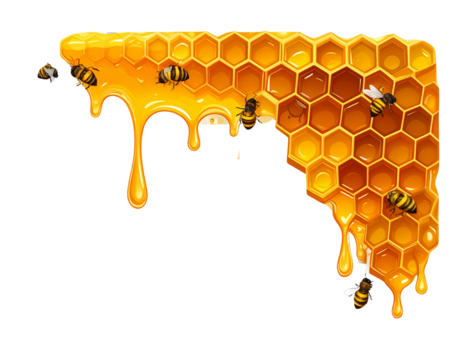 Honeybees on Honeycombs – Corner Embellishment Illustration – Transparent Background