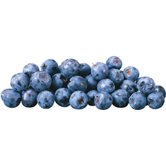 Fresh blue berries with water droplets on a branch with green leaves isolated on transprint background Pile of fresh blueberries