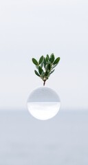 Tiny plant in a clear sphere, against a soft, light background