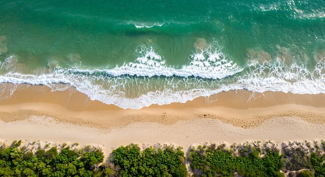 Aerial view of a sandy beach with turquoise waves and coastal vegetation