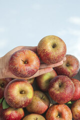 Fresh Organic Apples with Natural Blemishes - Imperfect Fruit Harvest from Farm