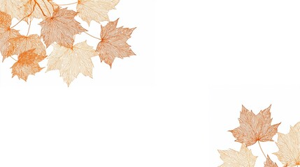 Maple leaves in line art sketching with copy space. Banner for Thanksgiving, Autumn theme