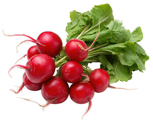 Vibrant bundle of fresh red radish with green leaf, healthy organic root vegetable food. This crisp ingredient isolated for cooking nutritious and delicious meal