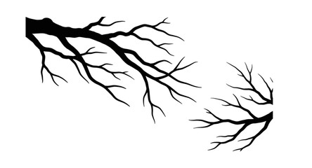 vector silhouette of a tree