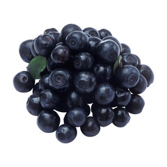 Fresh blue berries with water droplets on a branch with green leaves isolated on transprint background Pile of fresh blueberries