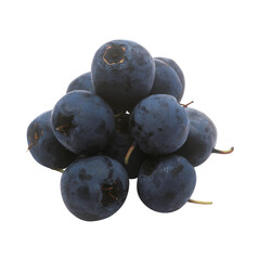 Fresh blue berries with water droplets on a branch with green leaves isolated on transprint background Pile of fresh blueberries